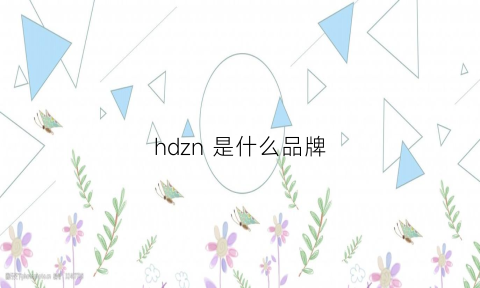 hdzn是什么品牌(hdpolarized是什么牌子)